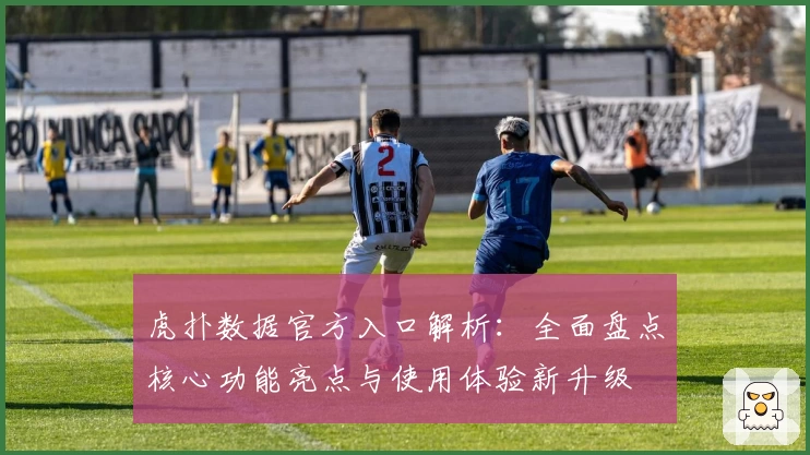 虎扑数据官方入口解析：全面盘点核心功能亮点与使用体验新升级