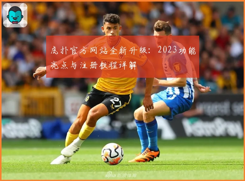 虎扑官方网站全新升级：2023功能亮点与注册教程详解